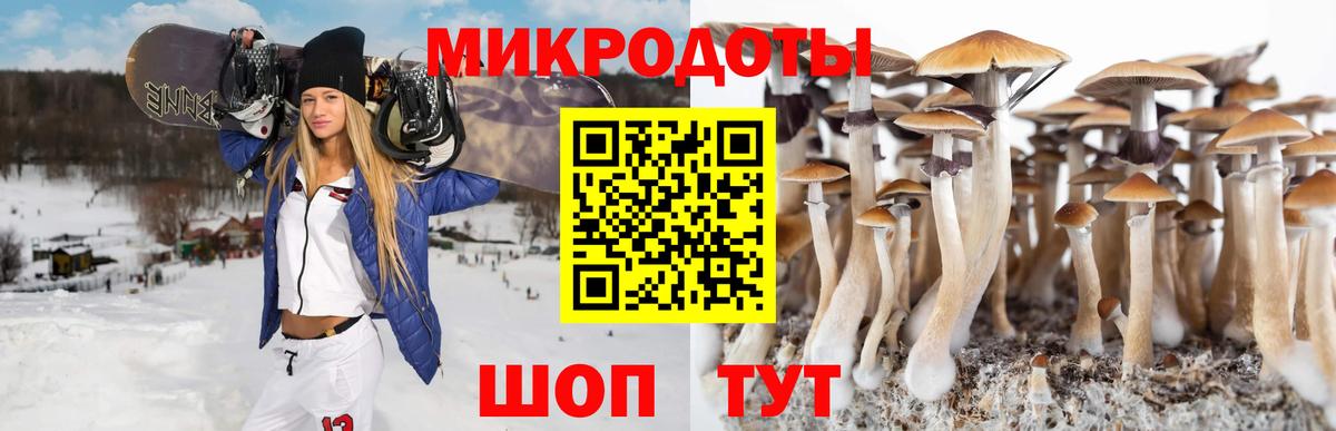 Луга  Псилоцибиновые грибы Cubensis  Псилоцибиновые грибы Psilocybe  Вход с VPN 